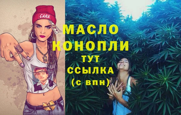 амф Алексин