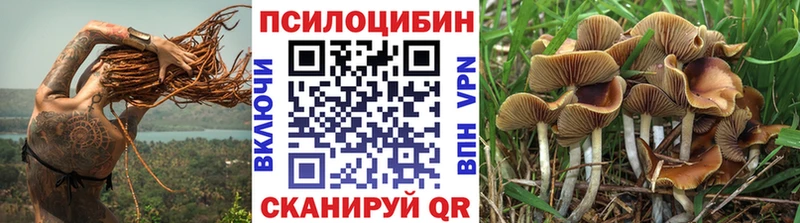 Псилоцибиновые грибы мицелий  цены   Шуя 