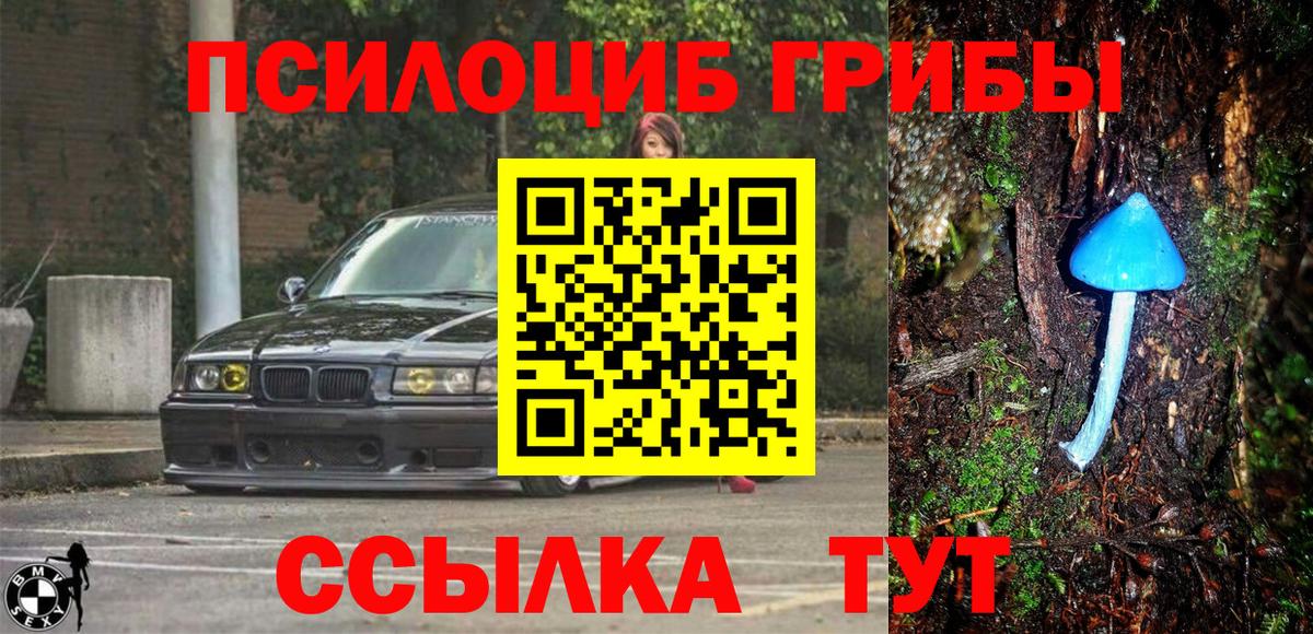 Галлюциногенные грибы Cubensis Шуя